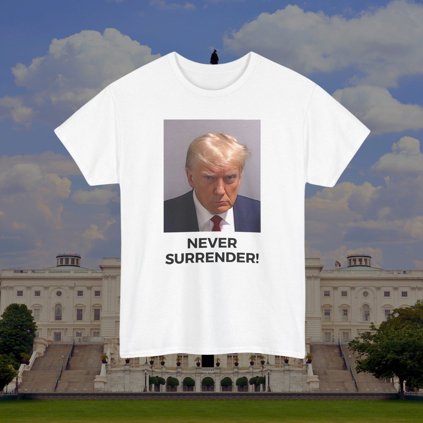 Trump Never Surrender Shirt, DONALD TRUMP Mugshot T shirt | Save America 2024, I'll Be Back Shirt